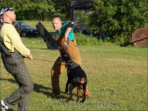 Training camp - Lukova 2007